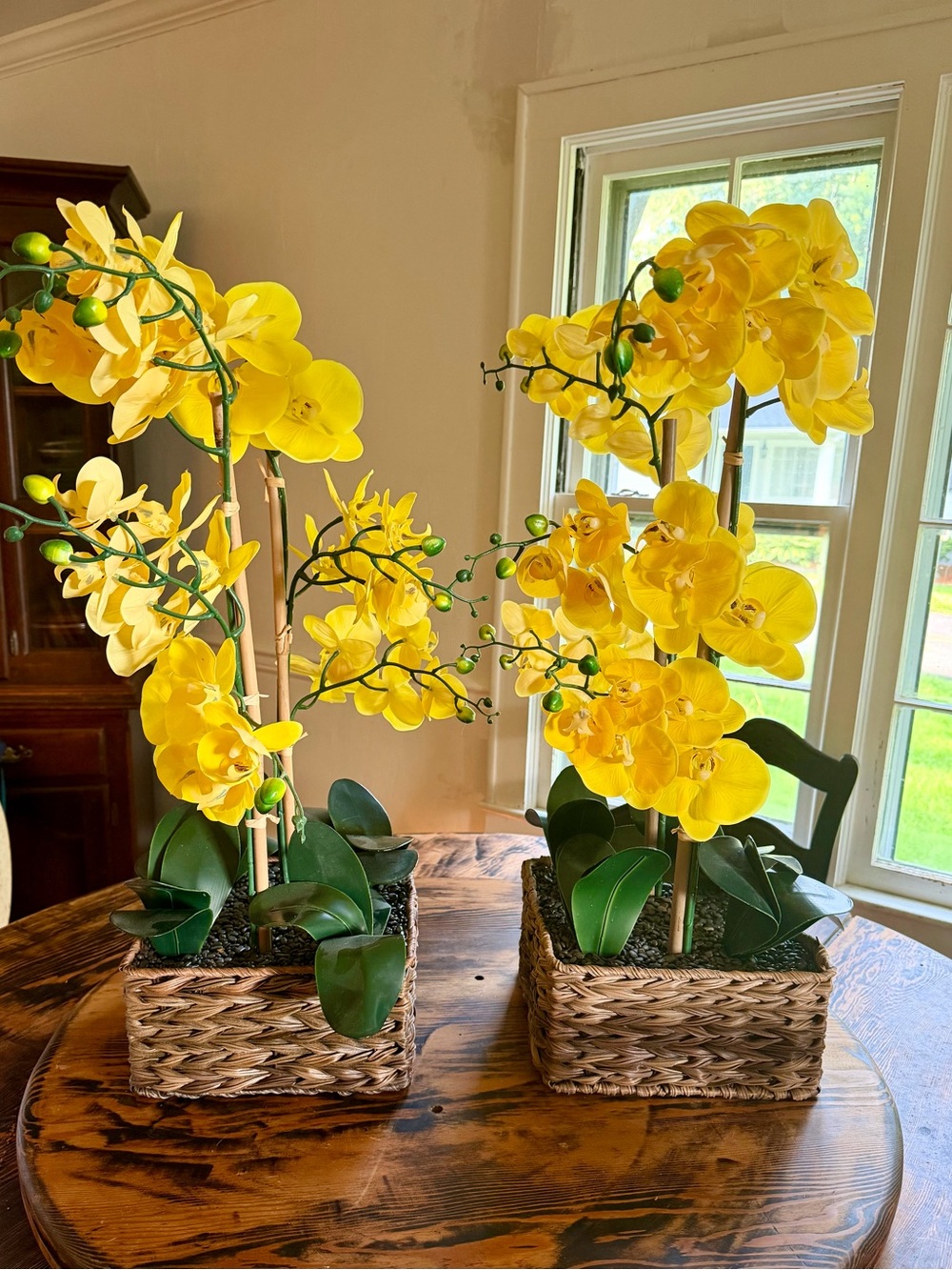Yellow Orchid Arrangement in Woven Basket - Home Accents